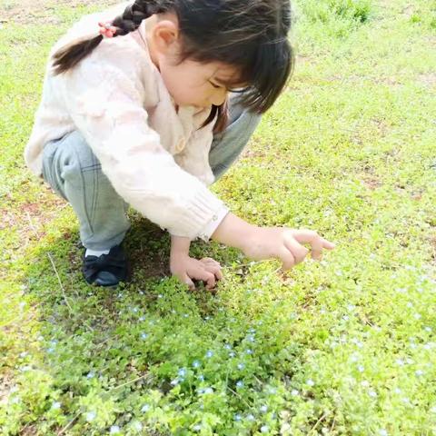 “春雨润于心，清明融于情”——亳州谯城区黎明幼儿园清明主题活动