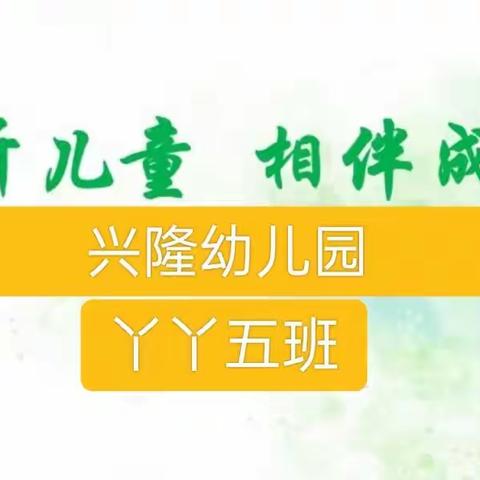 倾听幼儿，相伴成长