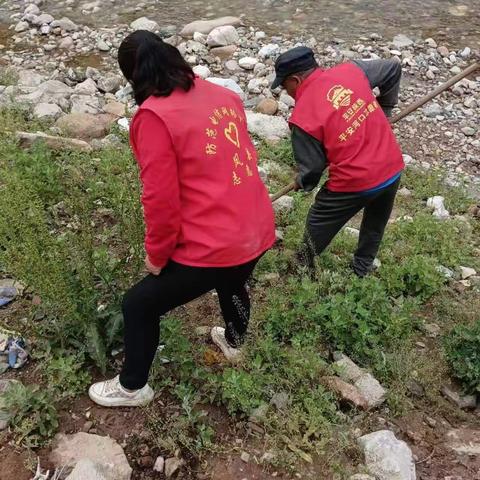 人居环境整治不停歇，做美扮靓沙坝新颜值