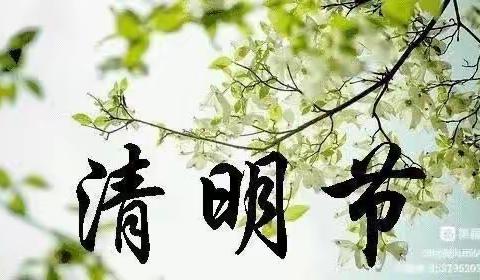 春雨润于心❤清明融于情❤