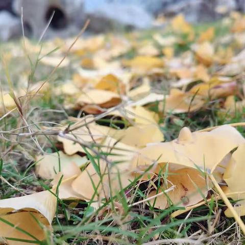 临汾市五一路学校 “预防持续性雨雪降温天气” 致家长一封信