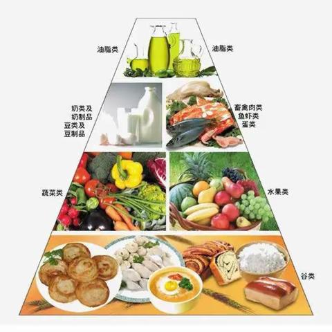 食物提供营养 科学启迪智慧——王潜小学科学名师工作室开展送教下乡活动