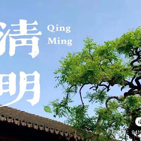 🍀“春雨润于心，清明融于情”🍀——春和黑村幼儿园2023年清明节主题教育活动