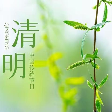 “清明时节，缅怀先烈”～新李小学清明节活动