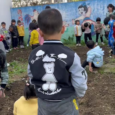 官仓镇芳诚幼儿园种植园地🥰🥰