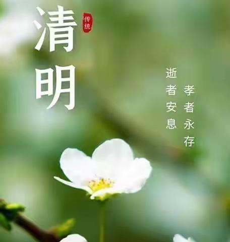 蓝天贝贝幼儿园——“清明融于情，春雨润童心”主题活动🍃🍃。