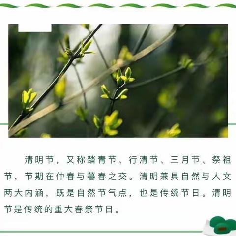 【青苹果🍏幼儿园】—“悠悠艾草香，浓浓节日情”清明节活动之制作清明果。