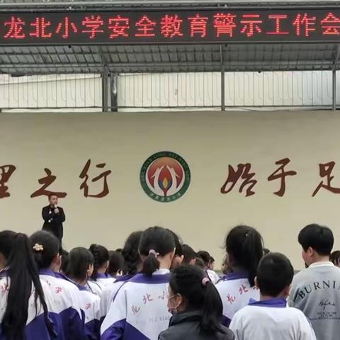 立夏时至 安全同行 ——龙北小学安全教育专项培训纪实