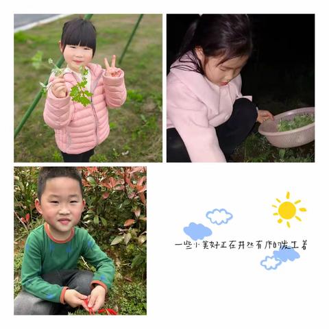 艺林·江南翠庭幼儿园向日葵班🍀“春雨润于心，清明融于情”清明活动美篇