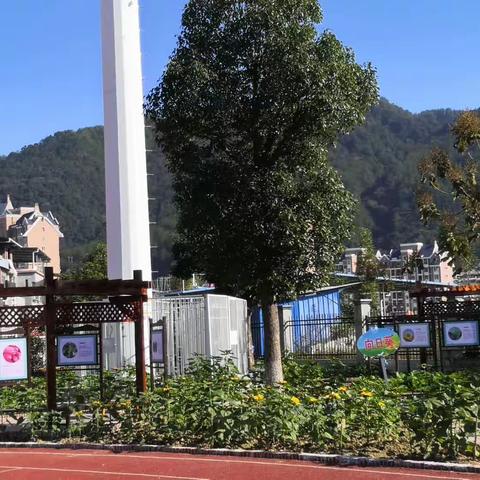 实践基地在校园，特色劳动助成长——清流县屏山小学一年级劳动实践美篇