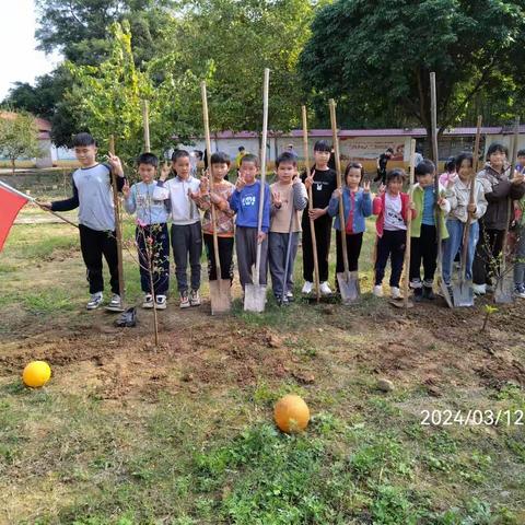 桂平市江口镇东升中心小学和合分校2024年植树节活动