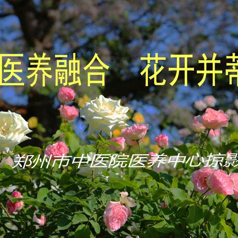 医养融合   花开并蒂