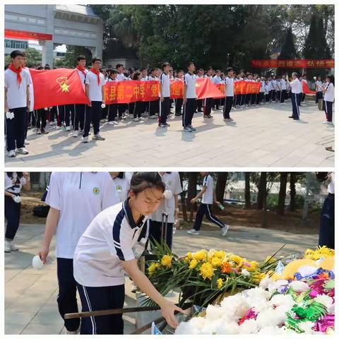 祭扫烈士墓，缅怀革命情——田东二中八年级师生清明节扫墓活动