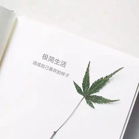 给生活做减法，为思想做加法——好文章分享