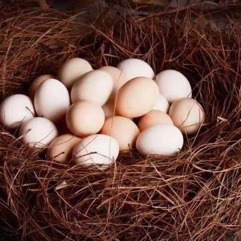 东方之星幼儿园中二班“感恩母爱，护蛋活动”