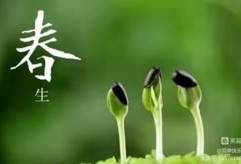 “种植一个梦想，在春天里发芽”——金贝贝幼儿园中班班本课程种植绿豆芽🌱