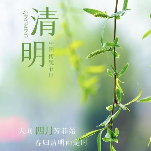 春雨润万物，人间朝气生