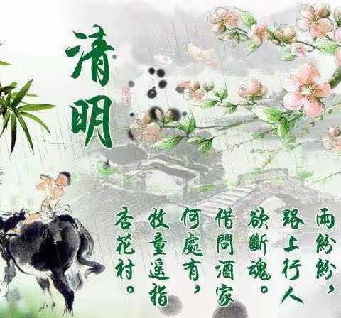 春雨润于心，清明融于情