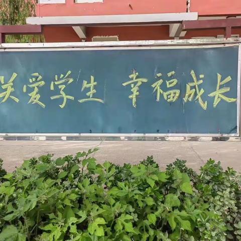 【关爱学生，幸福成长】第三实验小学自主学习乐无穷