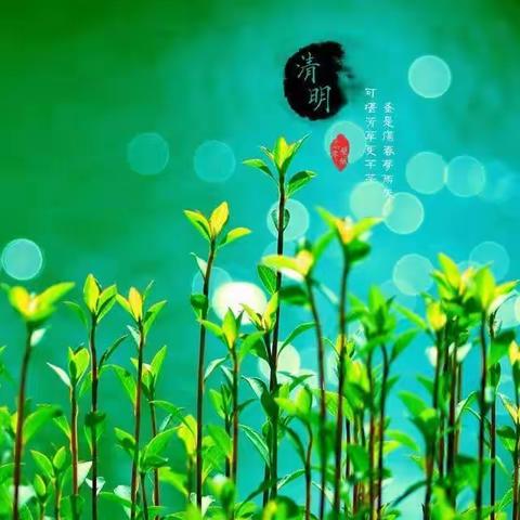 仙桃小学“我们的节日.清明”主题系列活动