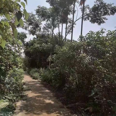 【质量考核-琼山农村一组5月17日】下已整改