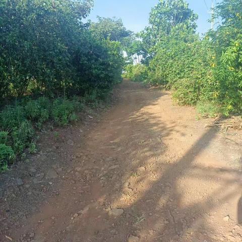 【质量考核-琼山农村一组5月3日】已整改