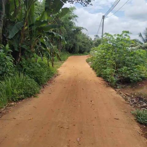 海口环卫2023年14日农村镇墟监督考评   已整改