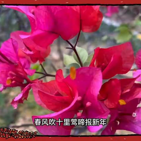 惠州罗浮嘉园2023年第一季度服务报告