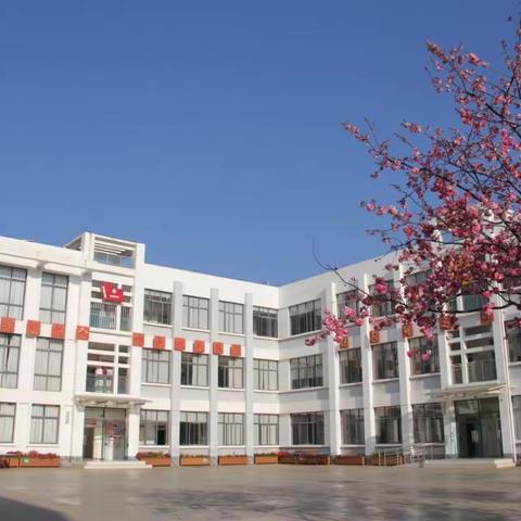 跟岗学习赋新能，笃行致远正当时——2024-2025下学期 东山乡新教师到祥云革命英烈红军小学跟岗学习纪实