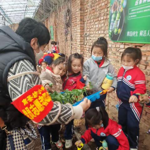 党员团员齐上阵  劳动实践我来帮——玉泉区南茶坊小学党支部志愿服务活动