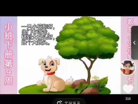 幼儿园线上小班活动