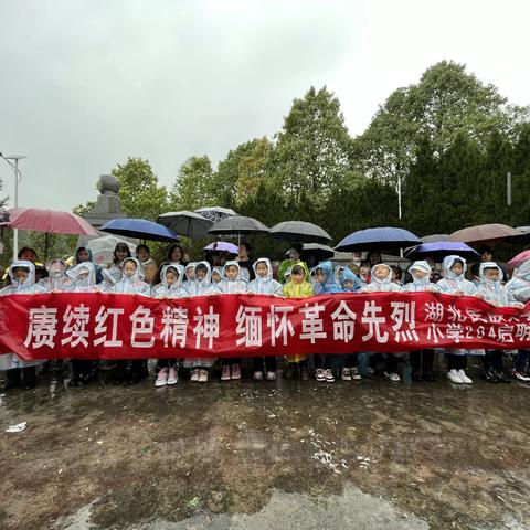 穿过清明的雨，寄托清明的情——记204启明星中队清明祭扫活动