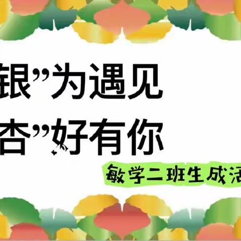 “银”你而“杏”福——天真幼儿园敏学二班观察生成活动