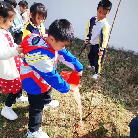 【课题动态02】“相逢植树节，爱在春风里”————大班课程故事