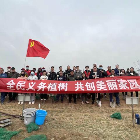 植树造林正当时 不负春光添新绿