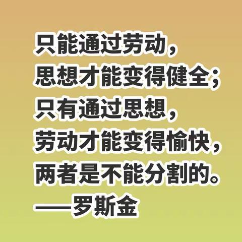 劳动创造幸福，实践促进成长