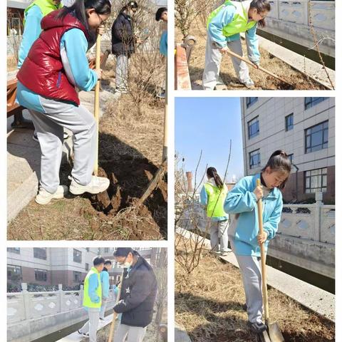 全环境立德树人 | 发扬雷锋精神，履行植树义务，共建美丽中国——枣庄十五中南校区（勤为学校）植树节活动