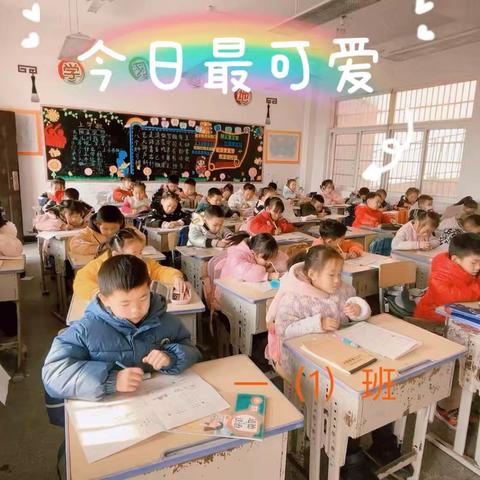 养思维 培智育(阳逻五小数学逻辑思维比赛)