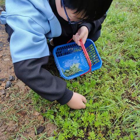 清明节清明节似乎总是与雨分不开的。这个清明节便是一个不下雨的雨天。