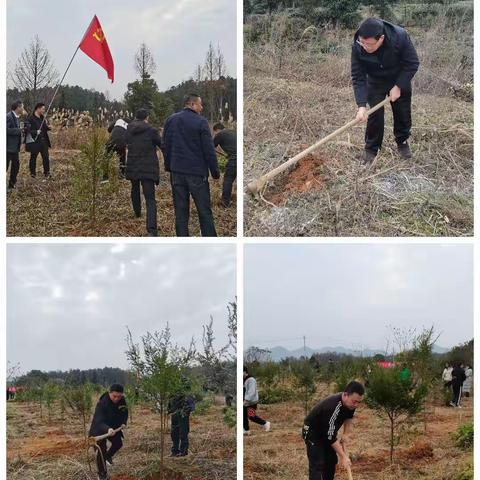 植树增绿，妆点绿色风景线--永安镇机关党支部开展义务植树主题党日活动