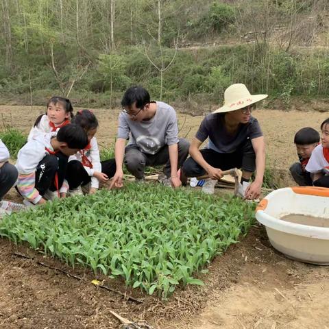 步入田间觅春色，躬耕为学新课堂