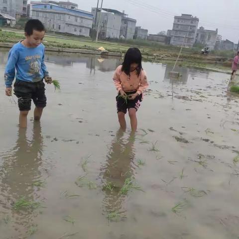 茂江学子学农社会实践，助力乡村产业振兴