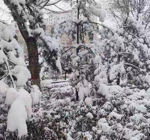 东辰杏花社区清理冰雪，温暖人心