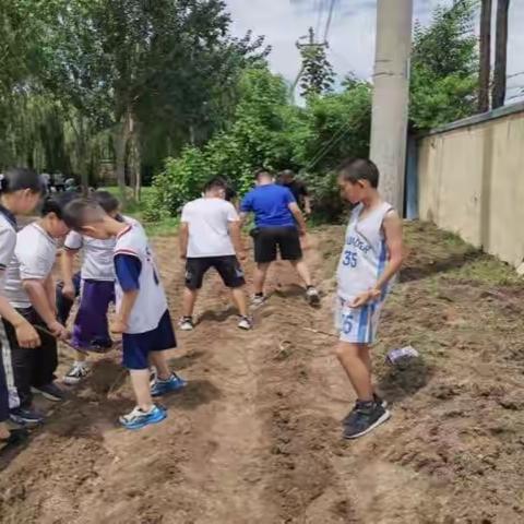 满都户学校学生劳动实践纪实