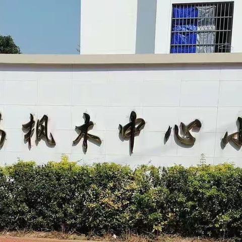 常规落实处 反馈促教学——枫木中心小学2023年春季第一次教学常规工作检查反馈会