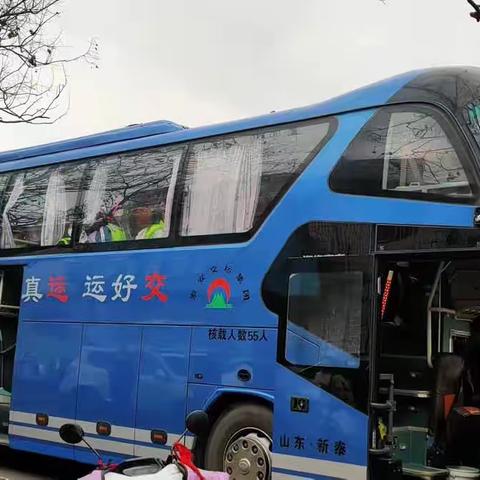 拥抱自然，趣“绘”春天 ——【画知未艺术培训学 校】春日泰山花海研学之旅