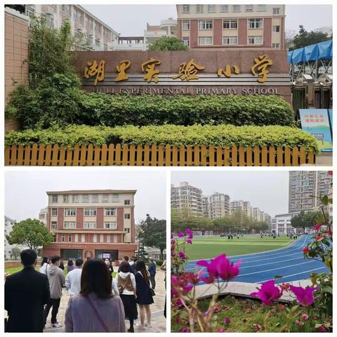 研语芳华，沉香流年——2022年度安徽省蚌埠市小学校本研修指导者培训（研修四组）