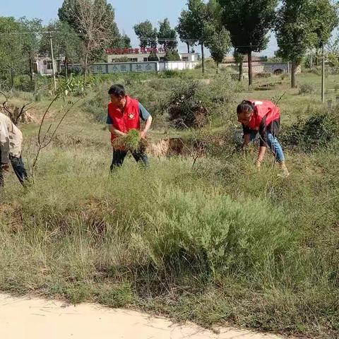 《新时代文明实践站活动在行动》拔蒿草