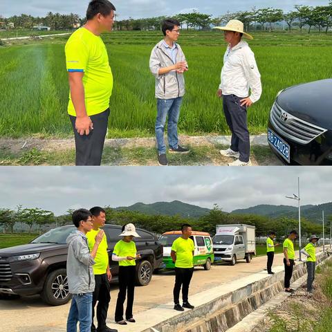 海南绿香村农业开发有限公司到三亚市育才区南繁制种基地开展有害生物无人机飞防工作