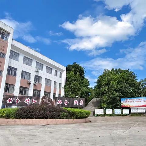 文峰学校2024-2025（下）第六周工作回顾